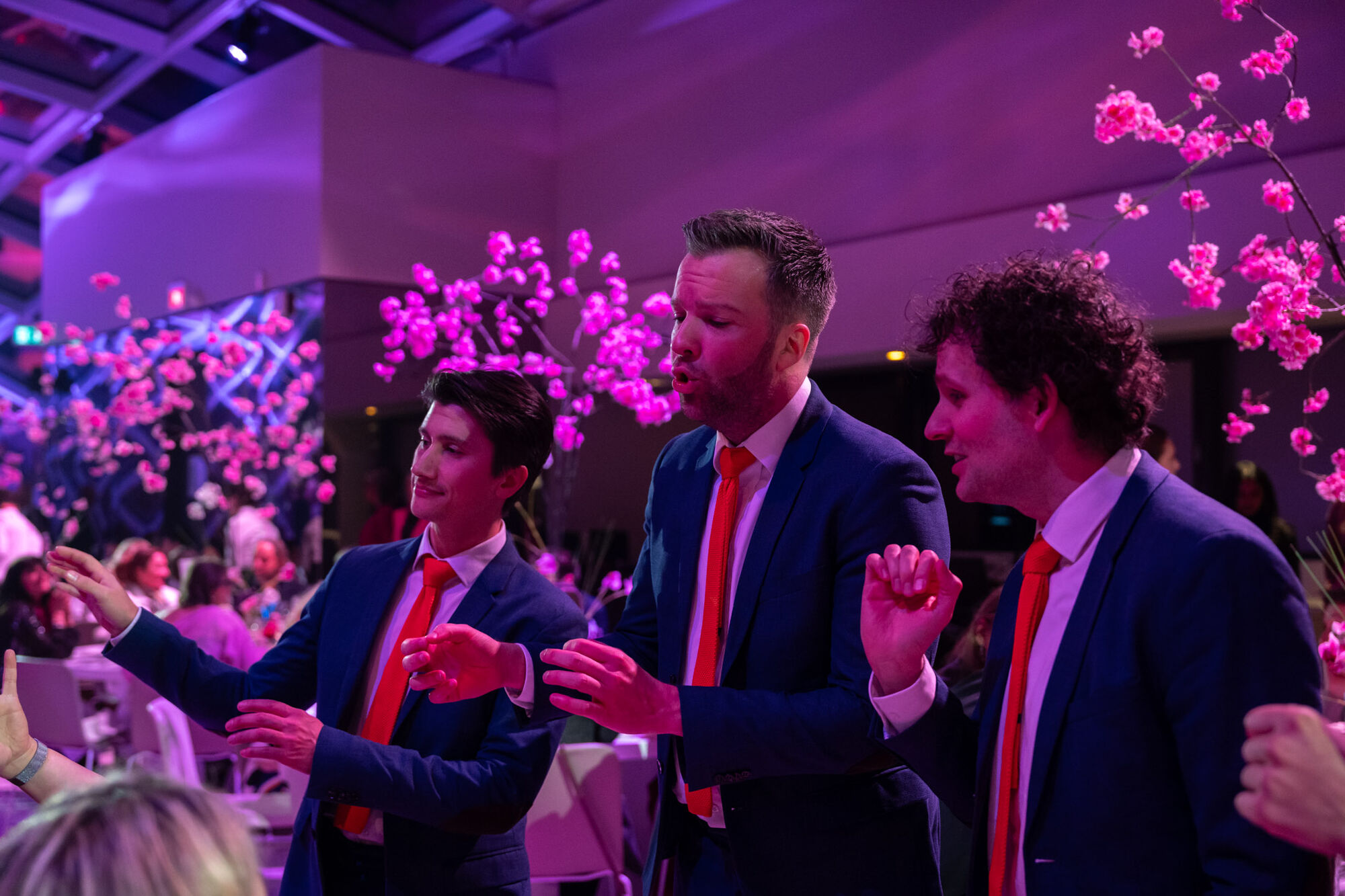 The JukeBoxBoys — foto 13